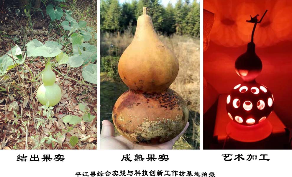 平江县综合实践与科技创新工作坊送劳育实践研学基地“葫芦”…