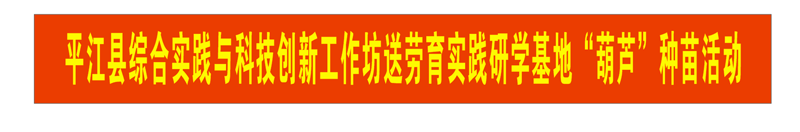 2020年5月20日平江县综合实践…