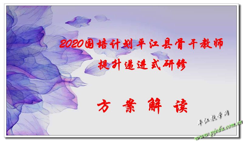 2020骨干教师培训方案解读